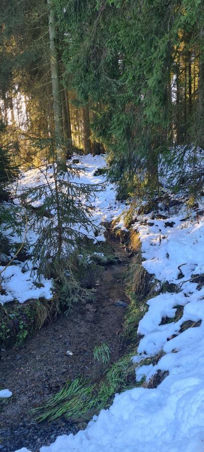 Fewo Am Premium Wanderort Apartment Bad Berleburg Bagian luar foto